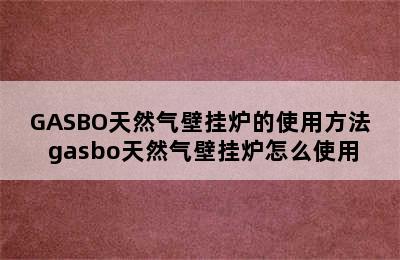 GASBO天然气壁挂炉的使用方法 gasbo天然气壁挂炉怎么使用